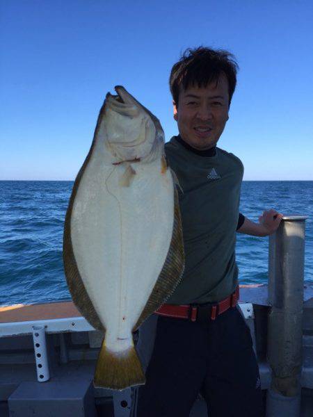 シーランチ 釣果