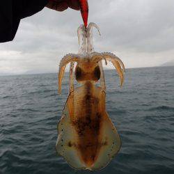 まるいち丸 ZERO-1 釣果