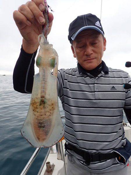 まるいち丸 ZERO-1 釣果