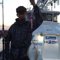 シーランチ 釣果