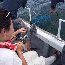 釣鯛洋 釣果