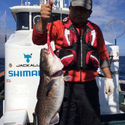 シーランチ 釣果