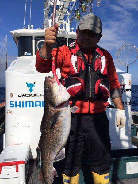 シーランチ 釣果