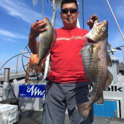 シーランチ 釣果