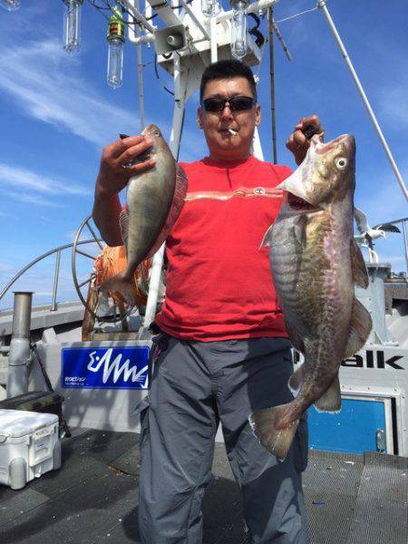 シーランチ 釣果