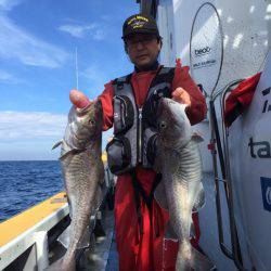 シーランチ 釣果