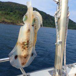 まるいち丸 ZERO-1 釣果