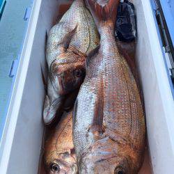 第二八坂丸 釣果