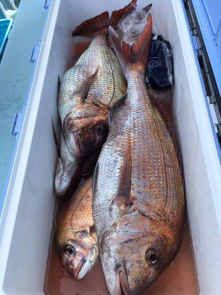 第二八坂丸 釣果