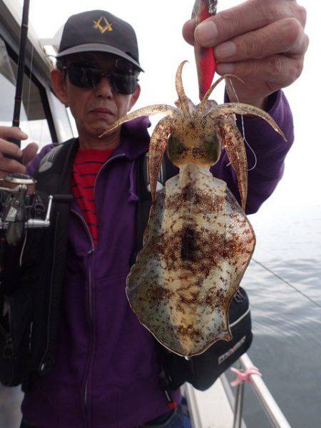 まるいち丸 ZERO-1 釣果