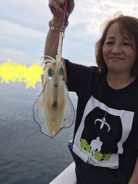 エヌスタイル 釣果