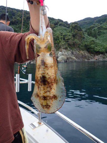 まるいち丸 ZERO-1 釣果