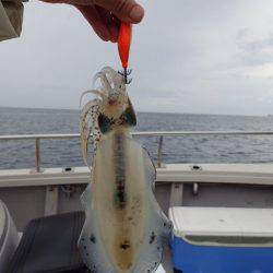 まるいち丸 ZERO-1 釣果