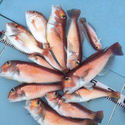 第二八坂丸 釣果