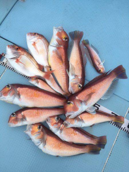 第二八坂丸 釣果