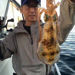 まるいち丸 ZERO-1 釣果