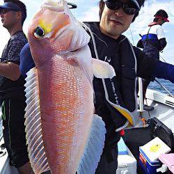 光生丸 釣果