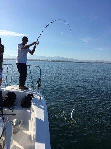 うさぎ丸 釣果