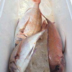 第二八坂丸 釣果