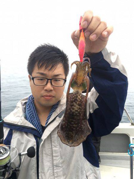 まるいち丸 ZERO-1 釣果