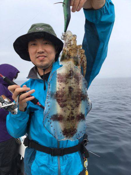 エヌスタイル 釣果