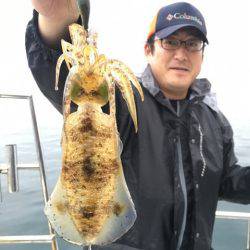 まるいち丸 ZERO-1 釣果