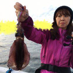 エヌスタイル 釣果