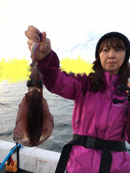 エヌスタイル 釣果