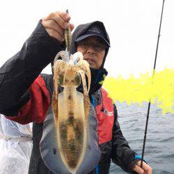 エヌスタイル 釣果