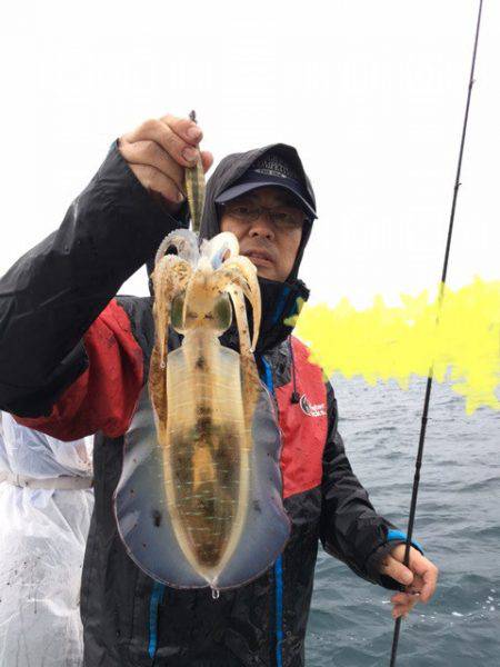 エヌスタイル 釣果