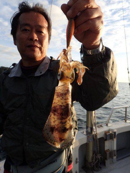 まるいち丸 ZERO-1 釣果