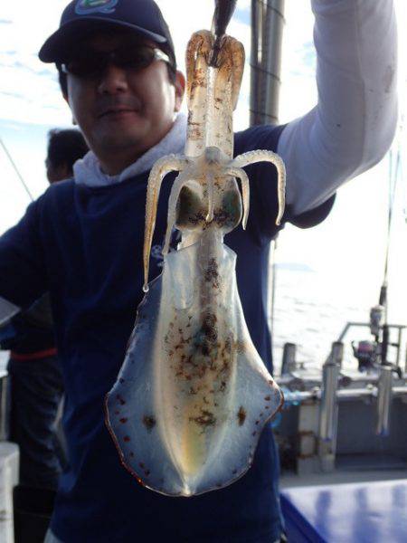 まるいち丸 ZERO-1 釣果