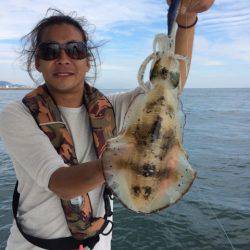 SeaRide(シーライド) 釣果