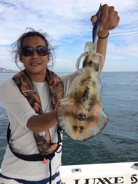 SeaRide(シーライド) 釣果