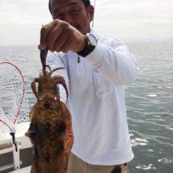 SeaRide(シーライド) 釣果