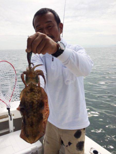 SeaRide(シーライド) 釣果