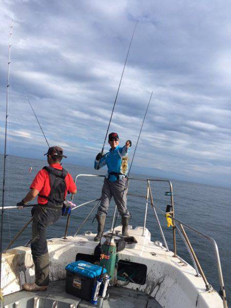 エヌスタイル 釣果