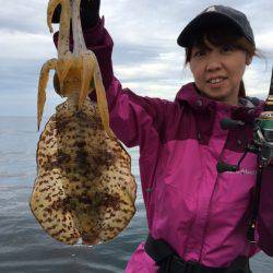 エヌスタイル 釣果