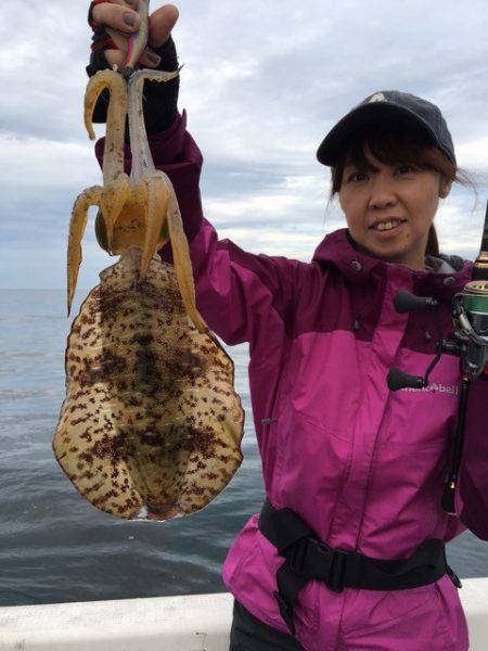エヌスタイル 釣果