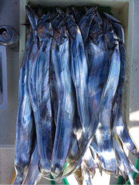 Ｖ−７ West 釣果