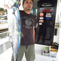 ビッグファイター 釣果