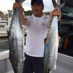 ビッグファイター 釣果