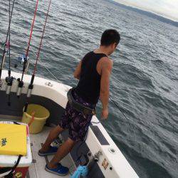 Ｖ−７ West 釣果