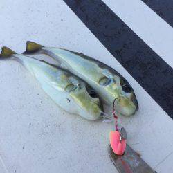 第二 海洋丸 釣果