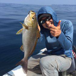 「LaGooN」蒼陽丸 日和号 釣果