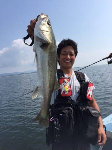 アマテラス 釣果