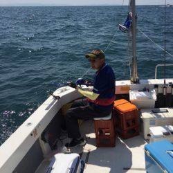 Ｖ−７ West 釣果