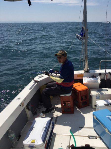 Ｖ−７ West 釣果