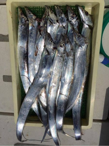 Ｖ−７ West 釣果