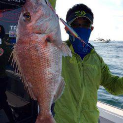 ビッグファイター 釣果